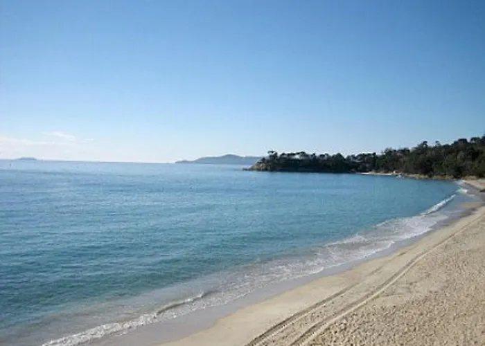 Californienne 4 Chambres, Terrasse Vue Mer, Parking, Animaux Admis - Fr-1-251-310 Le Lavandou