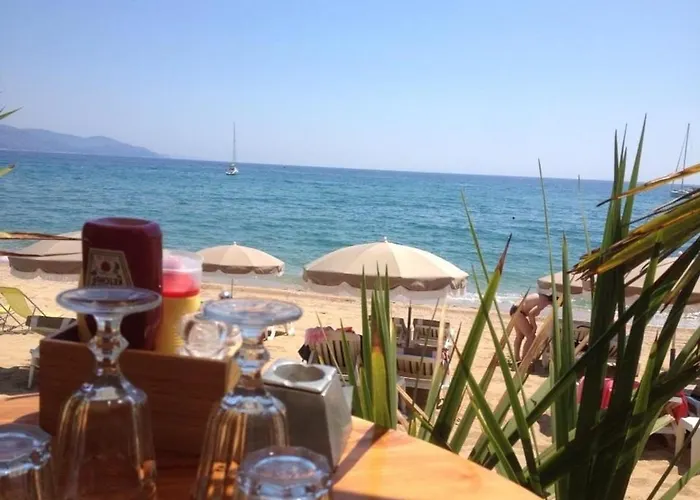 Californienne 4 Chambres, Terrasse Vue Mer, Parking, Animaux Admis - Fr-1-251-310 Holiday home