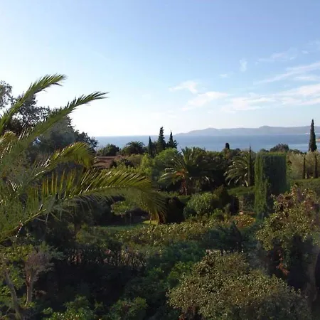 Californienne 4 Chambres, Terrasse Vue Mer, Parking, Animaux Admis - Fr-1-251-310 Le Lavandou